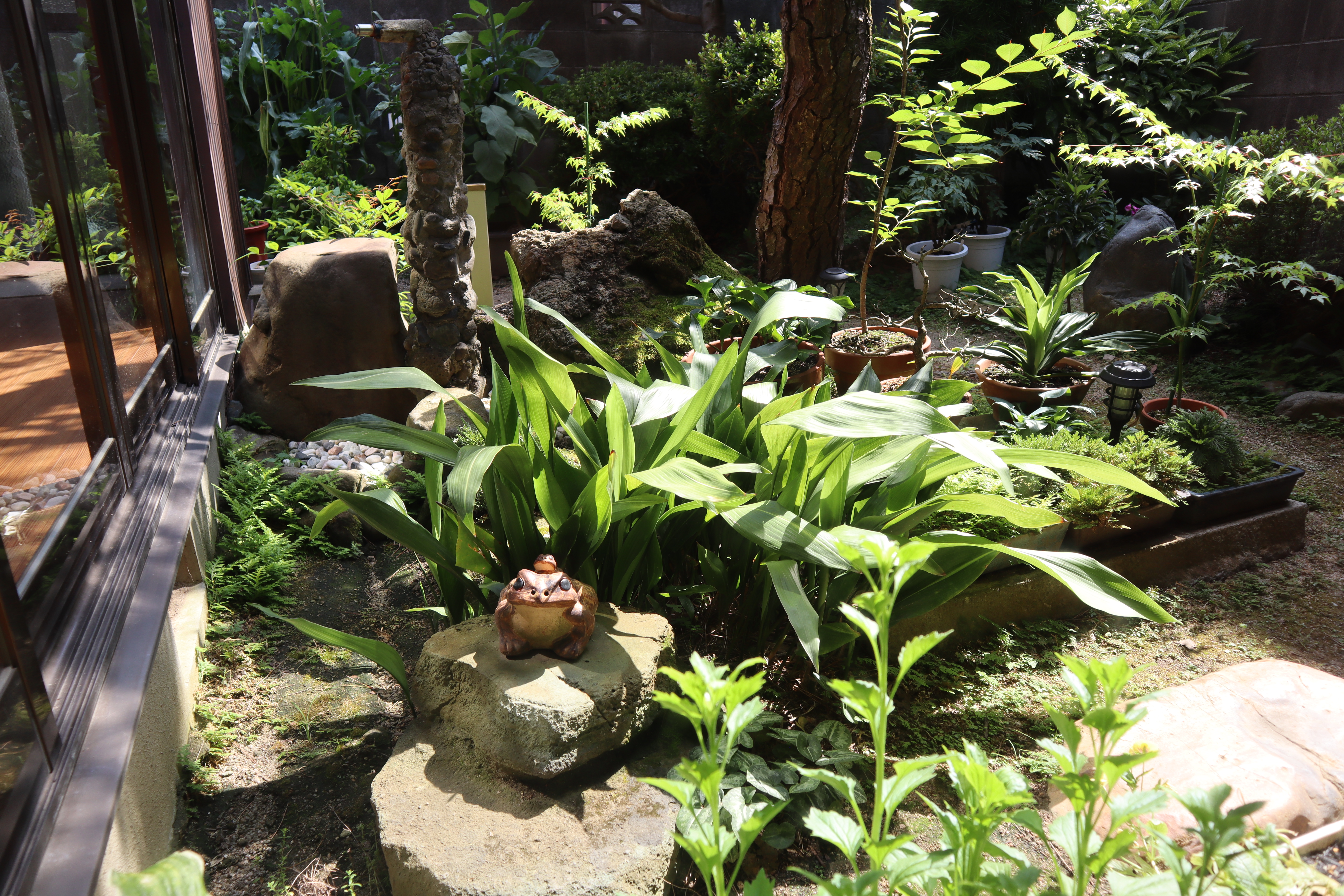 日当たりのいい中庭